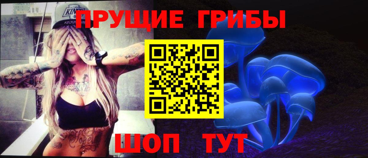 Псилоцибиновые грибы мицелий  Галлюциногенные грибы GOLDEN TEACHER  Асино 