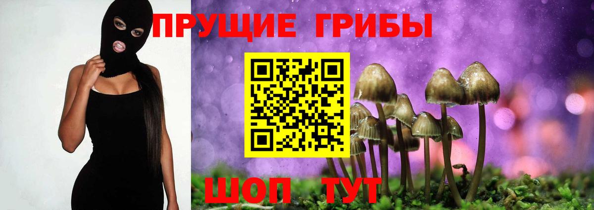 Галлюциногенные грибы GOLDEN TEACHER  Вход с VPN  Галлюциногенные грибы Cubensis  Асино 