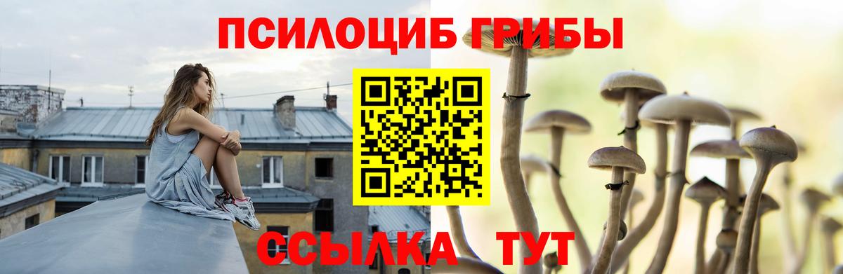 Галлюциногенные грибы мухоморы Асино